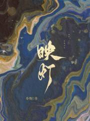 与君映明灯