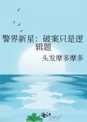 警界新星：破案只是逻辑题