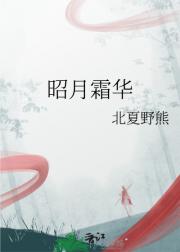 昭月霜华