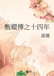 甄嬛傳之十四年