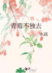 青鸾不独去