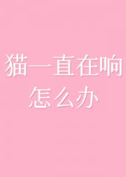 猫一直在响怎么办
