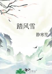 踏风雪