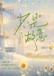 不是故意