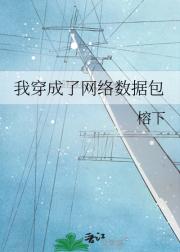 我穿成了网络数据包