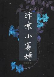 汴京小寡妇
