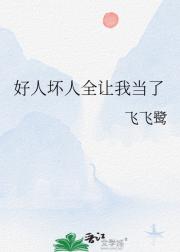 好人坏人全让我当了
