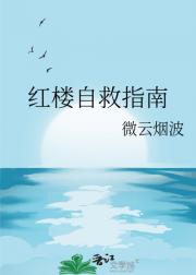 红楼自救指南