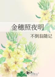 金穗照夜明
