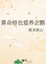 算命师也爱养企鹅