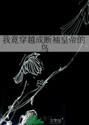 我竟穿越成断袖皇帝的鸟