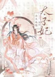 太子妃今天也想篡位