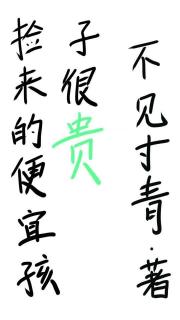 捡来的便宜孩子很贵