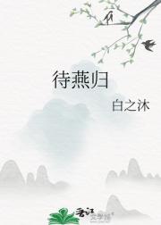 待燕归