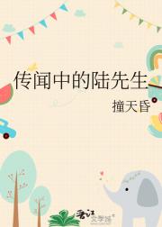 传闻中的陆先生