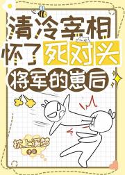 清冷宰相怀了死对头将军的崽后