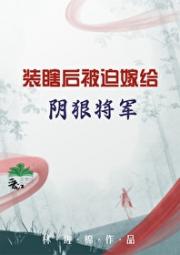 假失明后嫁给凶狠将军