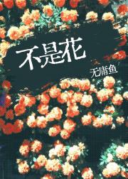 不是花[悬疑]