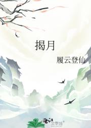 揭月