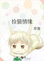 捡猫情缘
