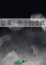 盗墓：你个假反派