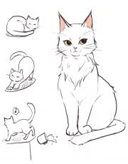 ［综英美］猫女士是一只猫