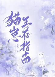 猫崽生存指南
