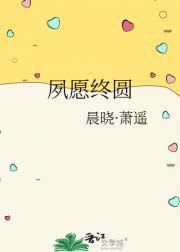 夙愿终圆