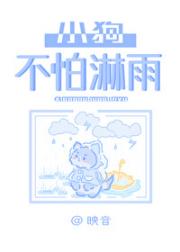 小狗不怕淋雨