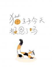 猫主子今天报恩了吗？