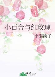 小百合与红玫瑰