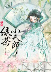 绿茶小夫郎（女尊）