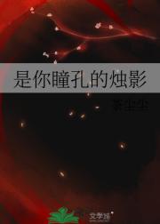 是你瞳孔的烛影