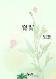 脊背