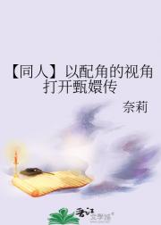 【同人】以配角的视角打开甄嬛传