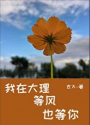 我在大理等风也等你