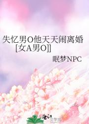 失忆男O他天天闹离婚[女A男O]]