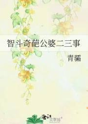 智斗奇葩公婆二三事