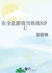 在全息游戏当助战NPC