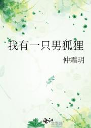 我有一只男狐狸