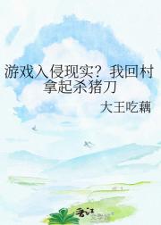 游戏入侵现实？我回村拿起杀猪刀