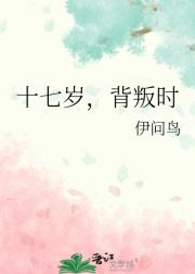 十七岁，背叛时