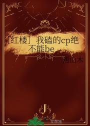 ［红楼］我磕的cp绝不能be