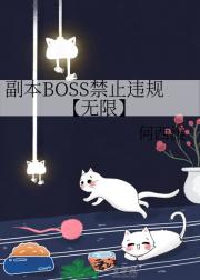 副本BOSS禁止违规【无限】