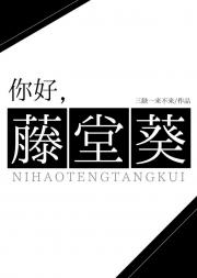 你好，藤堂葵