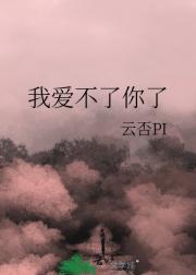 我爱不了你了