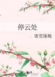 停云处