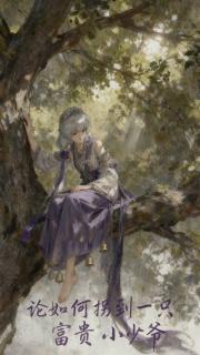 论如何拐走一只富贵小少爷[狐妖小红娘]