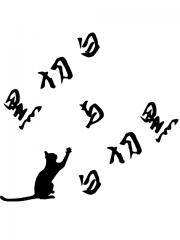 黑切白与白切黑［哨向］