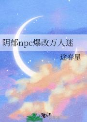 阴郁npc不干了